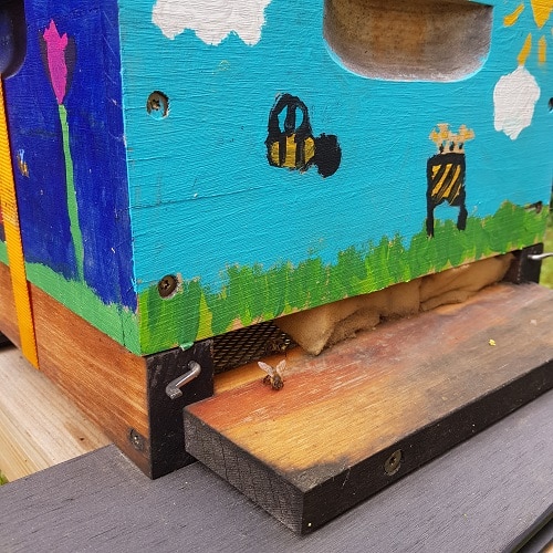 Umweltkurs “Bienen-Werktstatt”