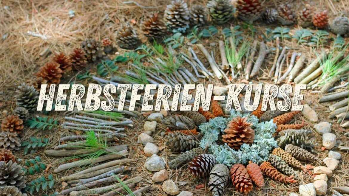 Kursprogramm Herbstferien